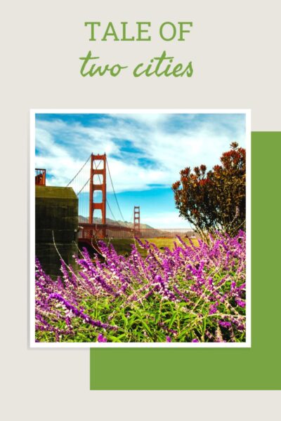 Purple flowers in front of the Golden Gate Bridge