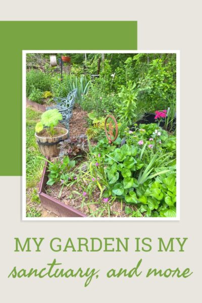 Gardening Know How via Nikki Tilley