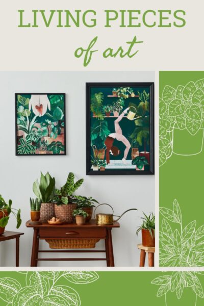 Houseplants of many varieties sit on tables and shelves beneath stylish plant-themed art