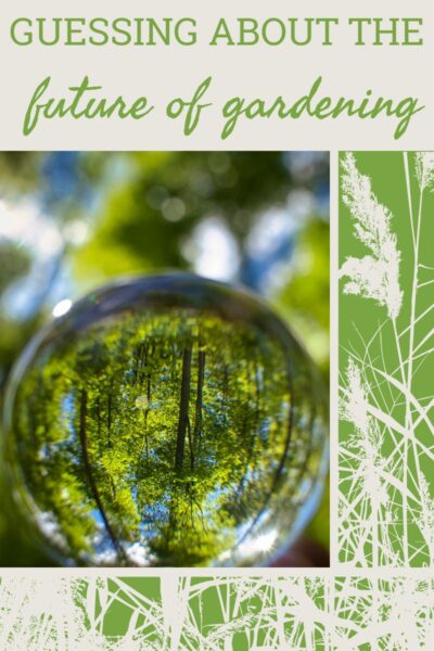 一个美丽的绿色森林通过水晶球看到颠倒