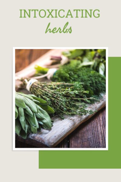 Bundles of fresh sage, thyme, and dill on a wooden cutting board